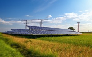 agriphotovoltaic