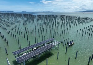 offshore photovoltaic project